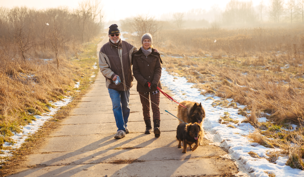 Vitamin D and the Winter Crash