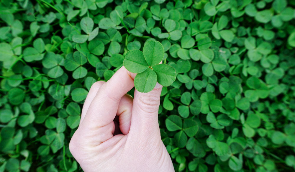 Celebrate St. Patrick’s Day and Reset Your Stress the Natural Way